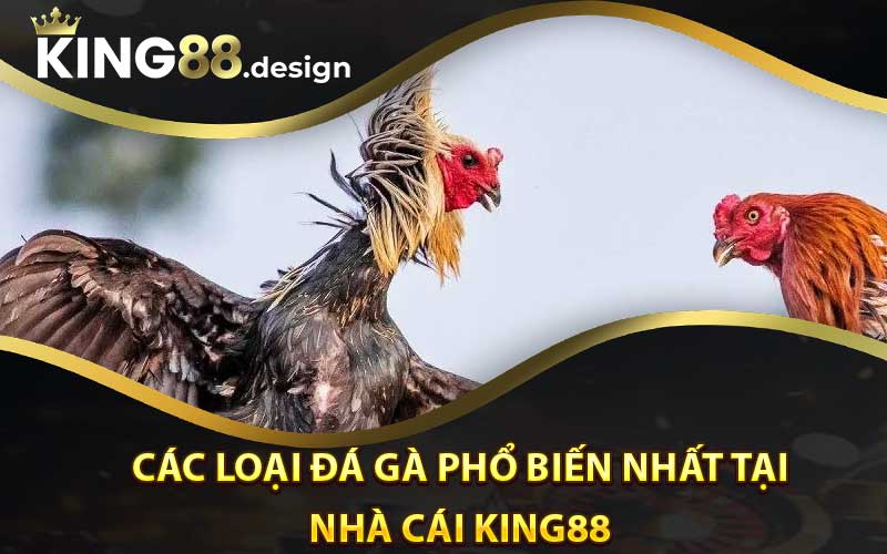 Các loại đá gà phổ biến nhất tại nhà cái King88