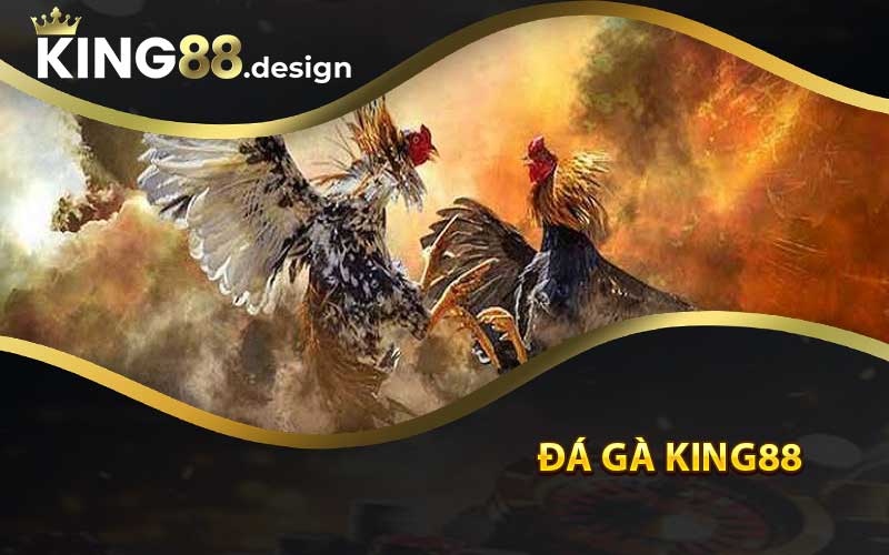 Đá Gà King88