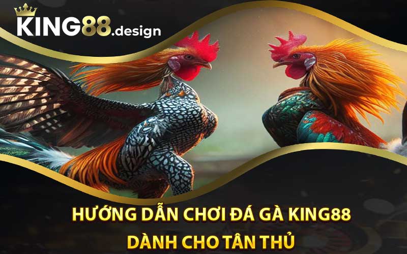 Hướng dẫn chơi Đá Gà King88 dành cho tân thủ